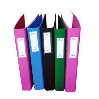 Box File (CLIPPA) – A4 – Narrow – Color