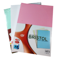 FIS BRISTOL COLOUR CARD