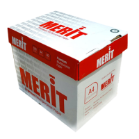 MERIT