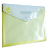 DOLPHIN - MY CLEAR FANCY BAG(A4) - DF 222