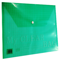 FIS – MY CLEAR BAG(A3) – FSPGDB801