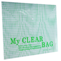 FIS – MY CLEAR BAG HARD(A3) – FSPGDB801