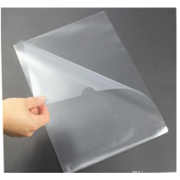 DELI – L CLEAR FOLDER