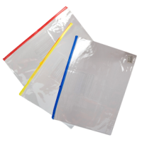 MODEST – CLEAR ZIPPER BAG(A4) – T57